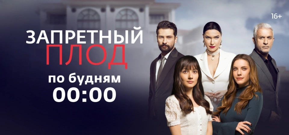 Все клипы