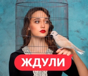 Ждули Ждули