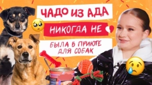Чадо из ада. Никогда не. 3 выпуск